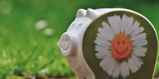 Reduzierte Eintrittspreise wegen Stadelumbau